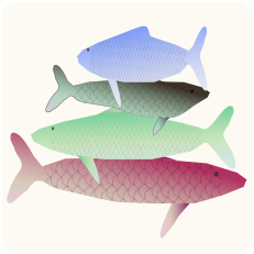 A ziggurat of multi-colored fish